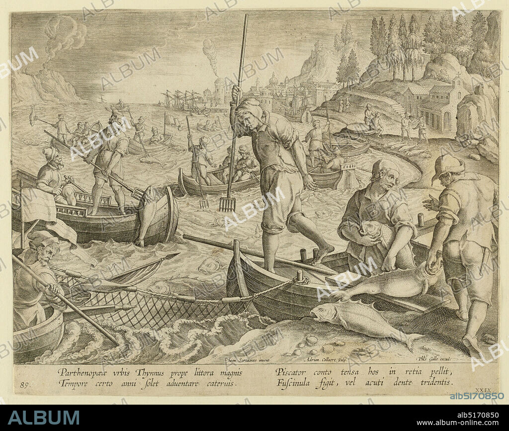 Tuna fishing, Jan van der Straet, called Stradanus, Flemish, 15231605, Karel van Mallery, Adriaen Collaert, Flemish, ca. 1560 1618, Philips Galle, Flemish, 1537 - 1612, Black ink on paper, Horizontal rectangle. Fishermen in open boats spread their net in the foreground, and spear the fish caught in it. Harbor with ships in the background at right. At left center: 'Ioan. Stradanus invent.'; right of center: 'Adrian. Collaert Sculp.'; lower right: 'Phls Galle excud.' Below: 'PARTHENO PAEAE URBIS THYMNUS.', Netherlands, ca. 1595, figures, Print, Print.