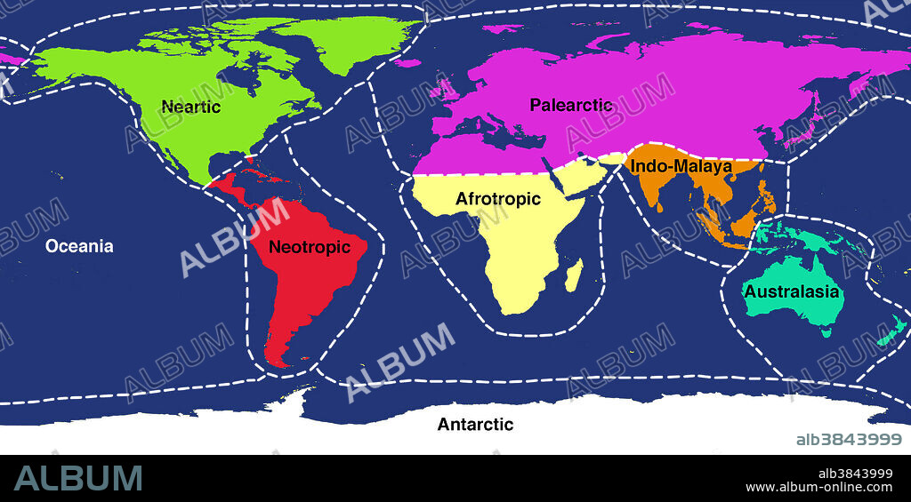 A world map showing the approximate 8 main ecozones of Earth. An ecozone is a region containing animal life that evolved together, separated from the other ecozones, for most of their history. The ecozones are: Palaearctic (purple, covering much of Eurasia); Nearctic (green, North America); Neotropic (red, South and Central America); Afrotropic (yellow, sub-Saharan Africa); Indomalaya (orange, covering South-East Asia and some equatorial Pacific islands); Australasia (blue, covering Australasia); Oceania (beige, the Pacific islands); and Antarctic (white).