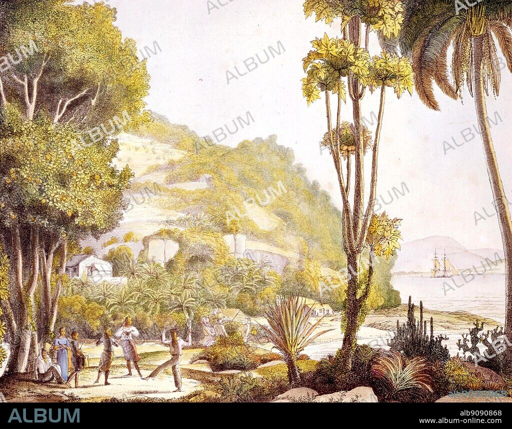 A view of the coat of Brazil from Darwin and the Beagle by Alan Moorhead, page 53..  On her second voyage, on December 27, 1831, the HMS Beagle left Plymouth harbour on what was to become a groundbreaking scientific expedition. After completing extensive surveys in South America she returned via New Zealand to Falmouth, Cornwall, England on 2 October 1836.