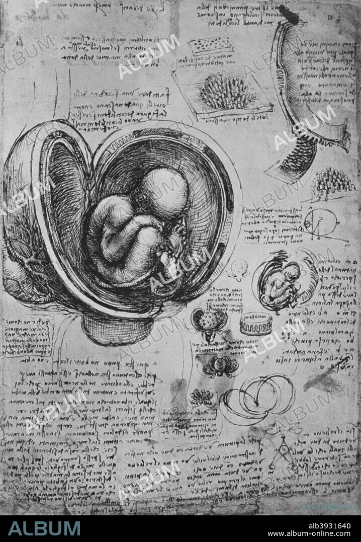 'Drawings of an Embryo in the Uterus', c1480 (1945). From The Drawings of Leonardo da Vinci. [Reynal & Hitchcock, New York, 1945].