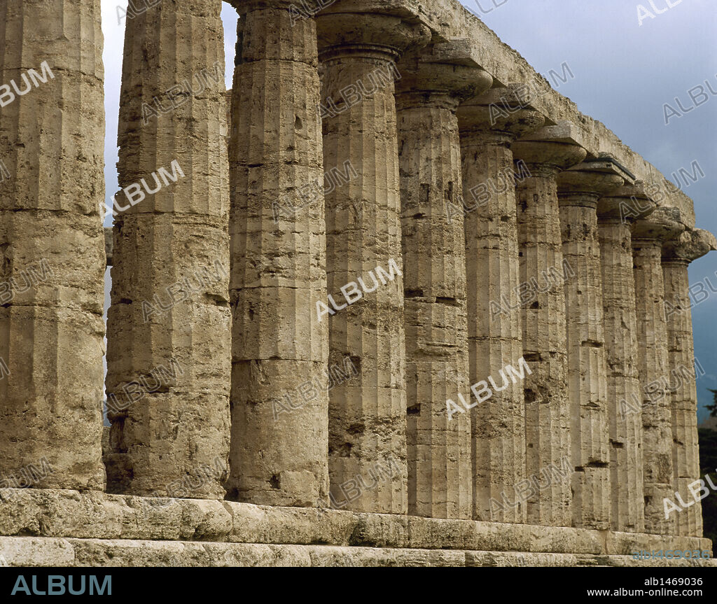 ARTE GRIEGO. MAGNA GRECIA. TEMPLO DE ATENEA, antes mal conocido como templo de Ceres. Fue construido a finales del s. VI a. C. De estilo dórico, tiene unas dimensiones de 32,88 x 14,54 metros. Vista de las columnas laterales del templo. PAESTUM (antigua ciudad griega de Poseidonia o Posidonia). Provincia de Salerno. Campania. Sur de Italia. Europa.