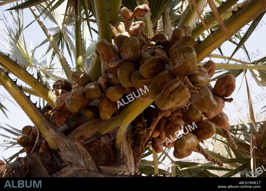 Gebel Silsila (margen occidental).