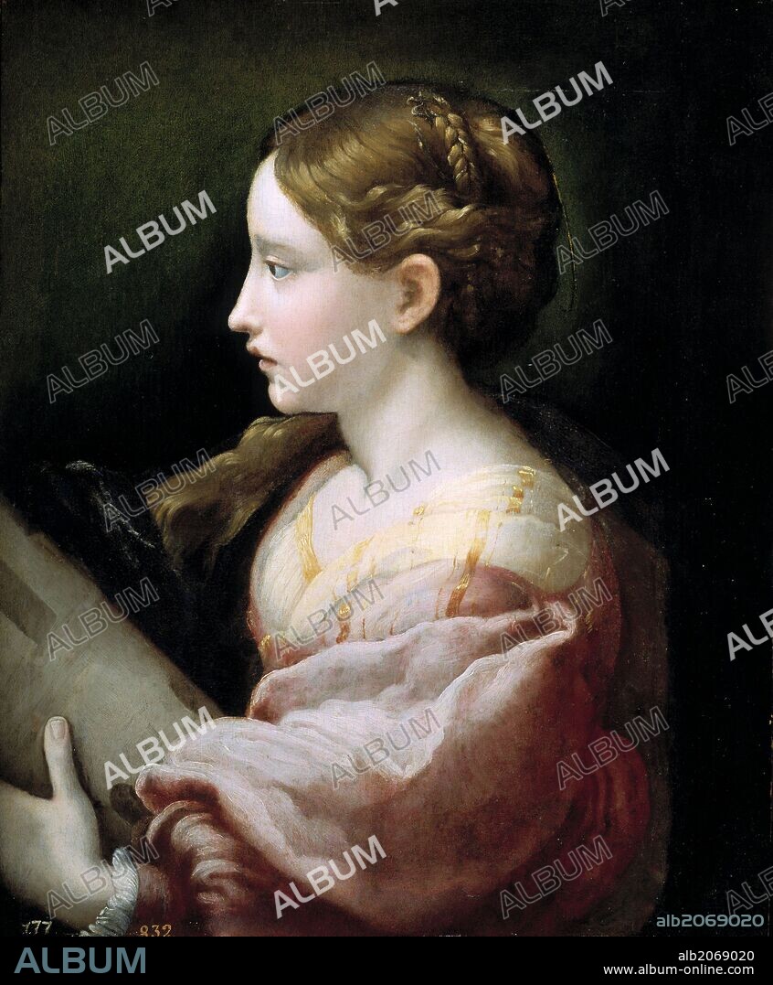 Girolamo Francesco Maria Mazzola Parmigianino / 'Santa Bárbara', Hacia 1522, Escuela Italiana, Óleo sobre Tabla, 48 cm x 39 cm, P00282.