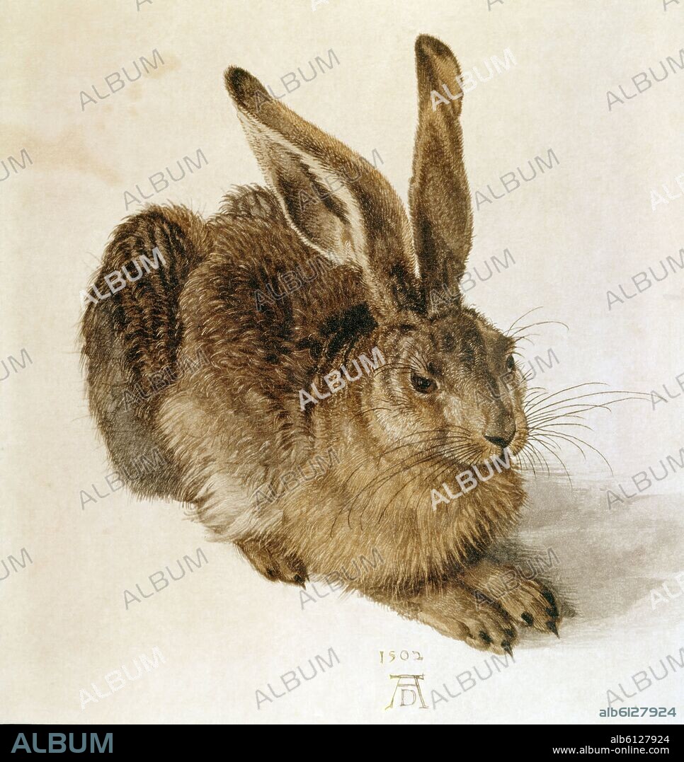 ALBERTO DURERO-ALBRECHT DÜRER. 'Liebre', 1502, Gouache y acuarela sobre papel, 25,1 x 22,6 cm.