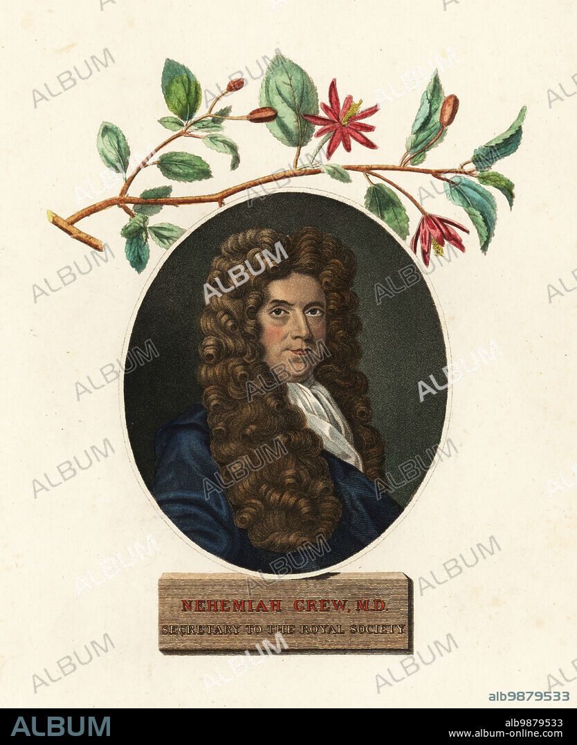 Nehemiah Grew, MD, physician and botanist, secretary to the Royal Society, 1641-1712. Handcoloured copperplate engraving by James Newton after a portrait by Robert White from Dr. Robert John Thorntons New Illustration of the Sexual System of Carolus von Linnaeus, the Temple of Flora, London, 1805.