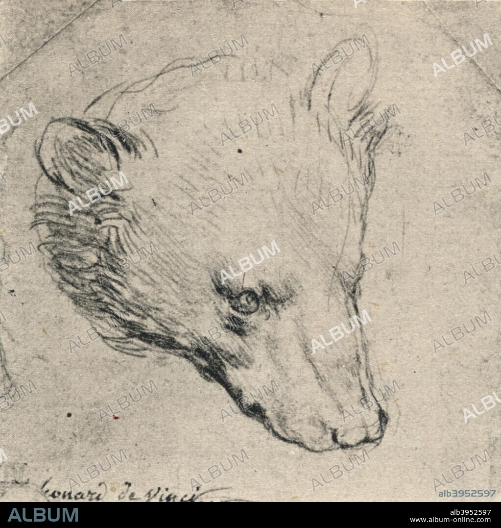 'Head of a Bear', c1480 (1945). From The Drawings of Leonardo da Vinci. [Reynal & Hitchcock, New York, 1945].