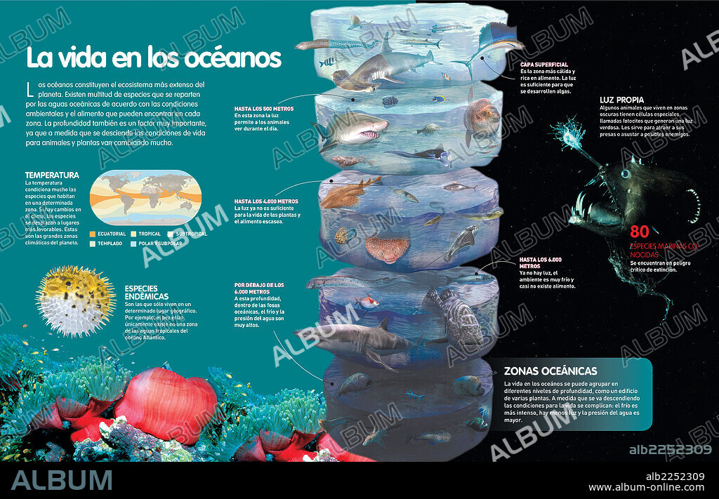 La vida en los océanos. Infografía que analiza las formas de vida que son posibles en las diferentes profundidades del océano debido a la mayor o menor presencia de luz solar y presión del agua.