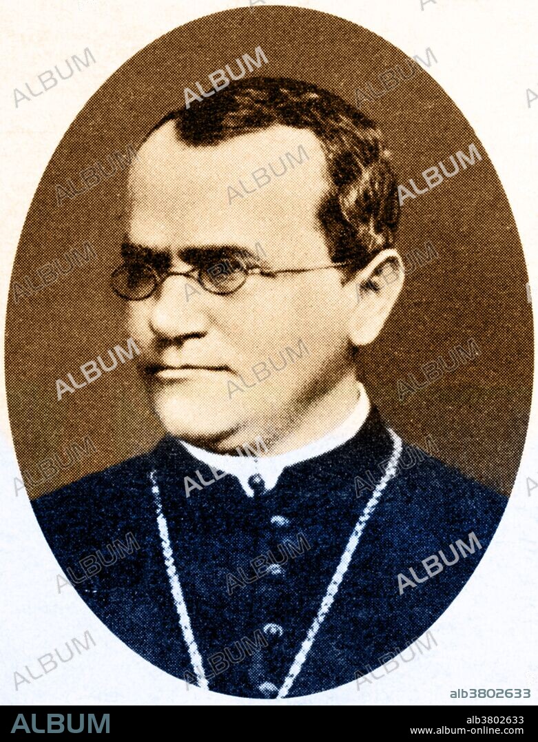 Gregor Johann Mendel (July 20, 1822 - January 6, 1884) was an Austrian scientist and Augustinian friar who gained posthumous fame as the founder of the new science of genetics. Mendel conducted experiments in a monastery in the 1860's with garden peas, working out the law of heredity based on "factors" (genes) that decide which characteristics are passed from parent to offspring. His documented work was entitled: "Experiments with Plant Hybrids". Mendel had demonstrated that the inheritance of certain traits in pea plants follows particular patterns, now referred to as the laws of Mendelian inheritance. Although the significance of Mendel's work was not recognized until the turn of the 20th century, the independent rediscovery of these laws formed the foundation of the modern science of genetics. After he was elevated as abbot in 1868, his scientific work largely ended. Mendel died in 1884, at age 61, from chronic nephritis.