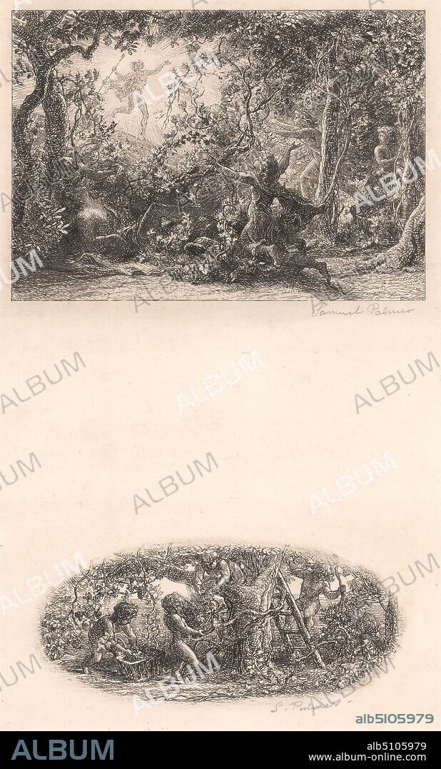 The Vine, Print made by Samuel Palmer, 18051881, British, active in Italy (183739), 1852, Etching and drypoint, retouched with white watercolor, gouache or chalk on thick, smooth, cream wove paper, Sheet: 11 9/16 x 8 1/4 inches (29.3 x 20.9 cm), Plate: 11 9/16 x 8 1/4 inches (29.3 x 20.9 cm), Image: 8 7/16 x 5 inches (21.4 x 12.7 cm), Image: 3 1/2 x 5 inches (8.9 x 12.7 cm), and Image: 2 1/16 x 4 9/16 inches (5.3 x 11.6 cm), baskets, cape, cherubs, cloak, figures, foliage, food, grapes, ladder, landscape, leaves, light, monarch, religious and mythological subject, specific aspects, allegorical aspects of Bacchus; Bacchus as a patron, trees, vat, vine, wine.