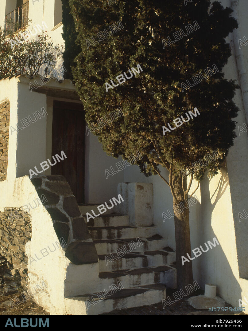 CASA DALI-DETALLE DE ESCALERA CON CIPRES.