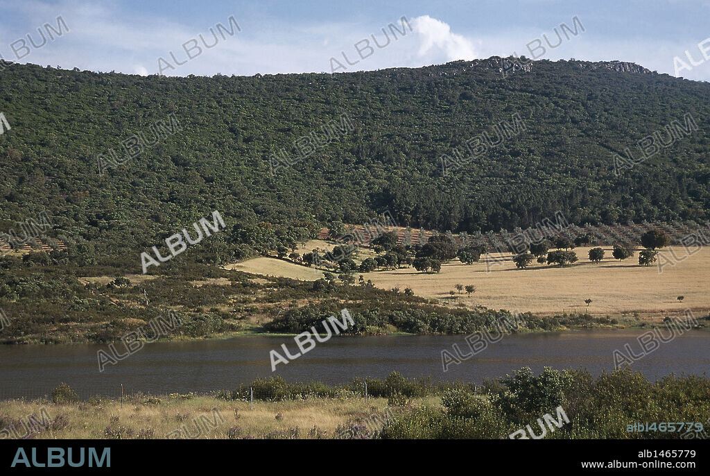 CASTILLA-LA MANCHA. PARQUE NACIONAL DE CABAÑEROS. Situado entre las localidades de Horcajo de los Montes y Retuerta de Bullaque, en los Montes de Toledo. Posee una gran extensión de bosque mediterráneo con alcornoques, encinas, madroños, rebollos y labiérnagos y una importante fauna de especies protegidas. Provincia de Ciudad Real. España.