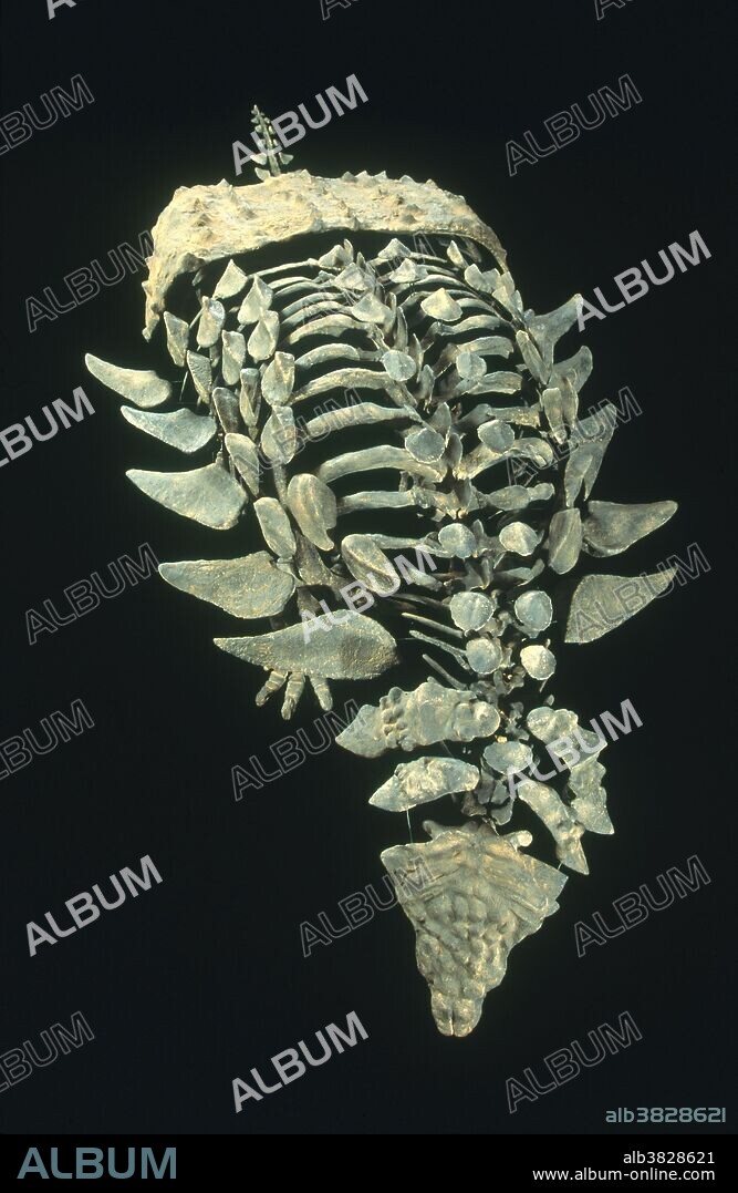 Mymoorapelta maysi, an ankylosaur from the Late Jurassic Period, found in Colorado. This specimen is 11.6 feet long and 32 inches high, reconstructed by Gaston Design in Fruita, Colorado.