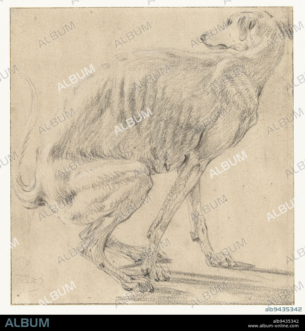 Seated dog, relieving itself, seen from the side, Frans Snijders, 1589 - 1657, draughtsman: Frans Snijders, 1589 - 1657, prepared paper, h 170 mm × w 163 mm.