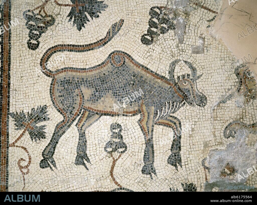 MOSAICO PALEOCRISTIANO DE LA BASILICA DE NEBO.