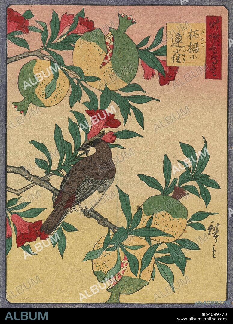 UTAGAWA HIROSHIGE III. Waxwing on Pomegranate, from the album New Selection of Birds and Flowers. Date: 1871-1873. Dimensions: 23.5 cm x 17.5 cm.