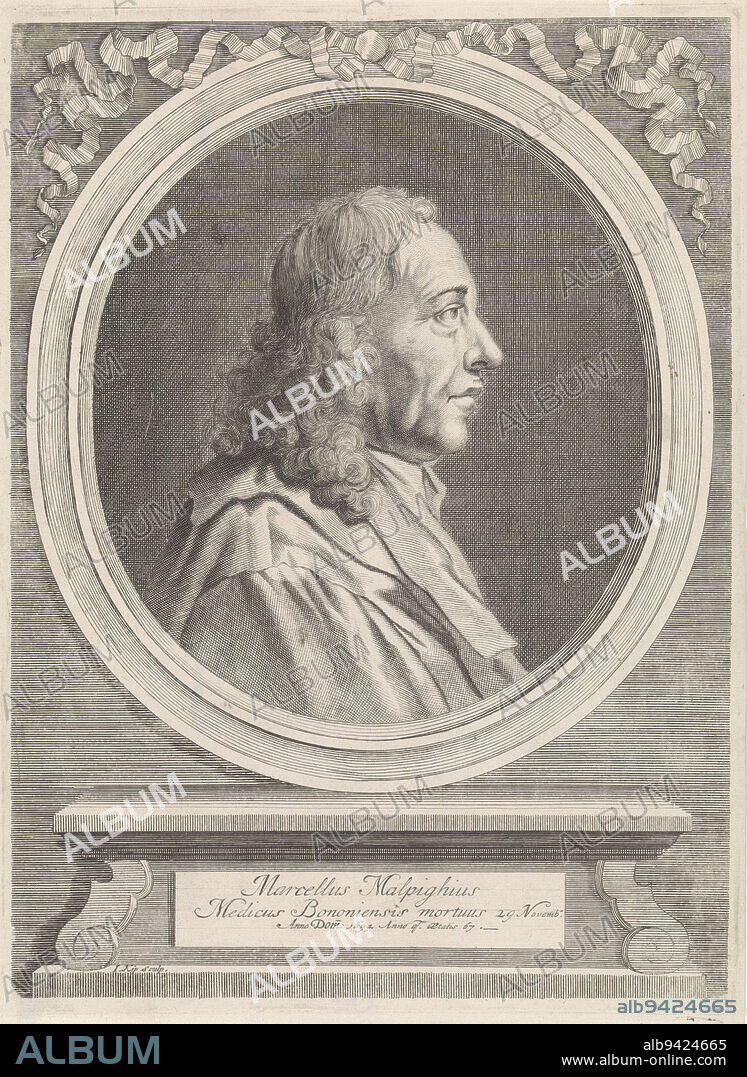 Portrait bust of Marcello Malpighi, physician and anatomist in Bologna and founder of microscopic anatomy, in oval., Portrait of Marcello Malpighi Marcellus Malpighuis Medicus Bononiensis mortuus (title on object), print maker: Johannes Kip, (mentioned on object), 1694, paper, engraving, etching, h 277 mm × w 202 mm.