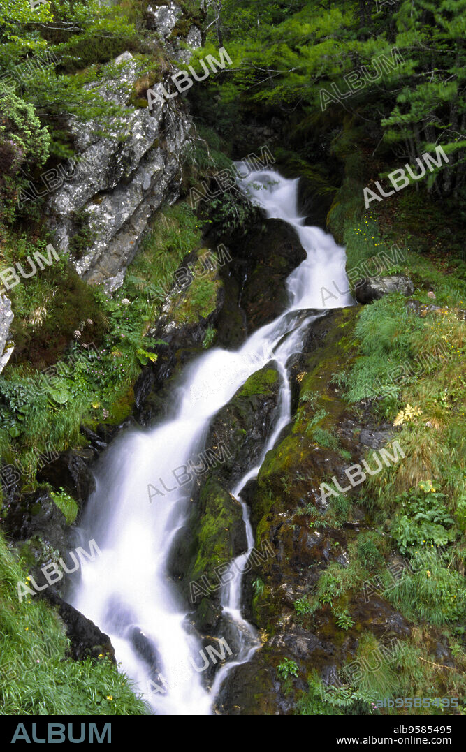 Torrente de montaña.Valle dOssau Parc National des Pyrénées.Cordillera Pirenaica.Francia.