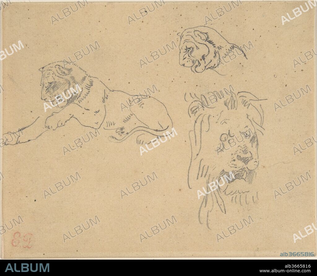 EUGENE DELACROIX. Three Studies of a Lion. Artist: Eugène Delacroix (French, Charenton-Saint-Maurice 1798-1863 Paris). Dimensions: 4 5/16 x 5 5/16 in.  (11 x 13.5 cm). Date: 1815-63.