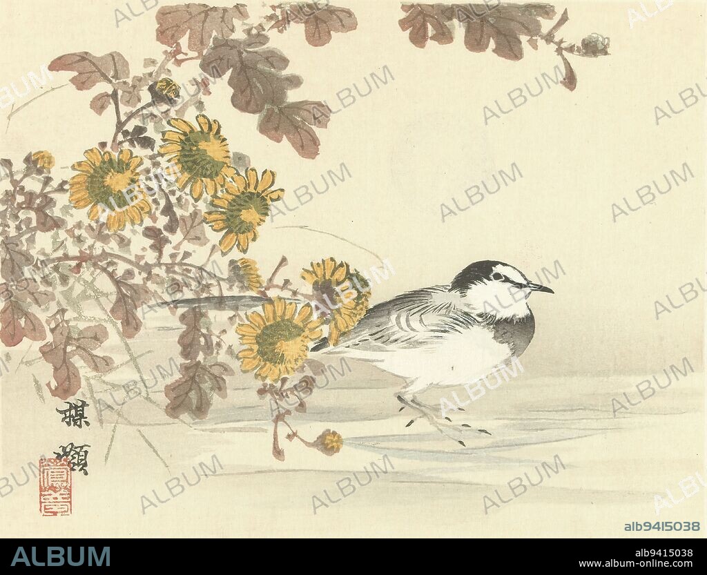 Japanese wagtail, Bairei`s flower and bird sketches (series title), Barei kacho gafu (series title on object), Black and white bird near yellow flowers with reddish-brown leaves., print maker: Kôno Bairei, (mentioned on object), printer: Aoki Kôsaburô, (mentioned on object), publisher: Aoki Kôsaburô, (mentioned on object), print maker: Japan, printer: Osaka, publisher: Osaka, Apr-1893, paper, color woodcut, height 210 mm × width 269 mm.