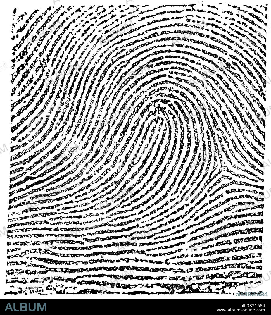 Fingerprint image taken from Edward Richard Henry's, Classification and Uses of Fingerprints. The Henry Classification System divides fingerprint records into groupings based on pattern types. The system makes it possible to search large numbers of fingerprint records by classifying the prints according to whether they have an "arch," "whorl," or "loop." In the typical loop pattern the ridges enter from one side of a finger, form a curve, and then exit on that same side. The Henry Classification System is a long-standing method by which fingerprints are sorted by physiological characteristics for one-to-many searching. Developed by Sir Edward Henry in the late 19th century for criminal investigations in British India, it was the basis of modern day AFIS classification methods up until the 1990s. In recent years, the Henry Classification System has generally been replaced by ridge flow classification approaches.