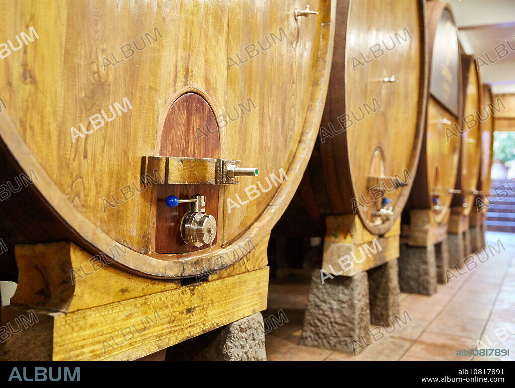 Sidreria Barkaiztegi, Cider house, Martutene, Donostia, San Sebastian, Gipuzkoa, Basque Country, Spain.