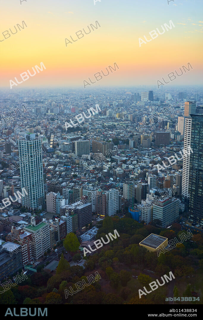 Cityscape view at sunset from the Tokyo Metropolitan Government Building, Tokyo, Japan, Asia.