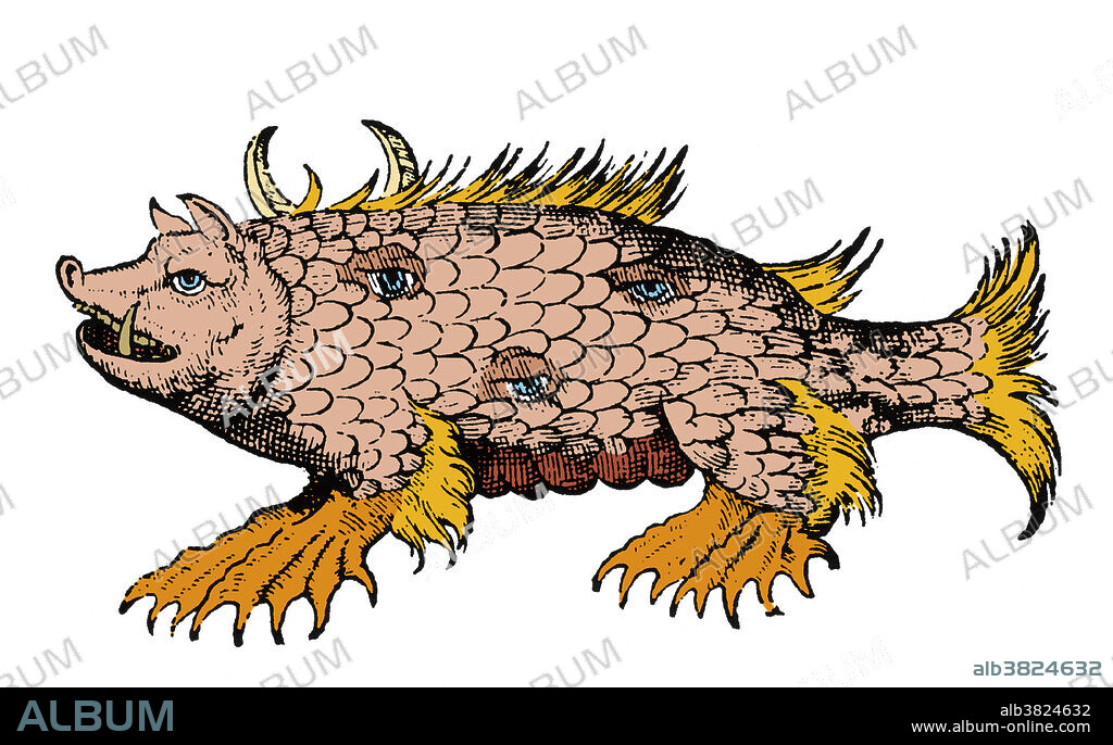 Woodcut of a marine sow from Des Monstres et prodiges by Ambroise Pare, 1573. Des Monstres is filled with unsubstantiated accounts of sea devils, marine sows, and monstrous animals with human faces. With its extensive discussion of reproduction and illustrations of birth defects, the book invited accusations of pornography. The marine monster, as Olaus Magnus says, was seen in the sea, near the Isle of Thylen in 1538. Seventy-two feet long, fourteen feet high, having a distance of seven feet between its two eyes. Its head was similar to a Sow, having a crescent located on its back, three eyes in the middle of each side of the body, and the rest completely covered with scales.