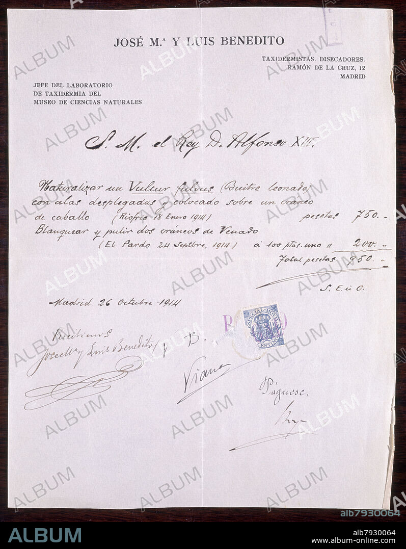 FACTURA DE JOSE Mª Y LUIS BENEDITO POR LOS TRABAJOS DE TAXIDERMIA PARA ALFONSO XIII-26/10/1914.