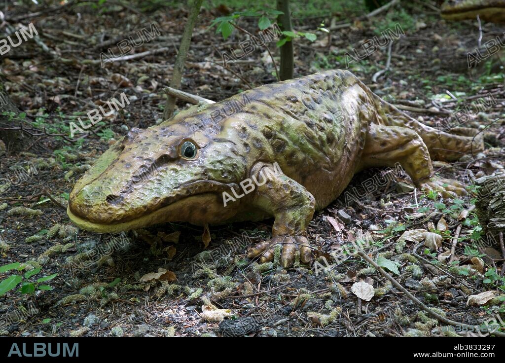 Eryops, an extinct primitive predatory amphibian from the Permian Period, in Dinosaurier Park, Germany.