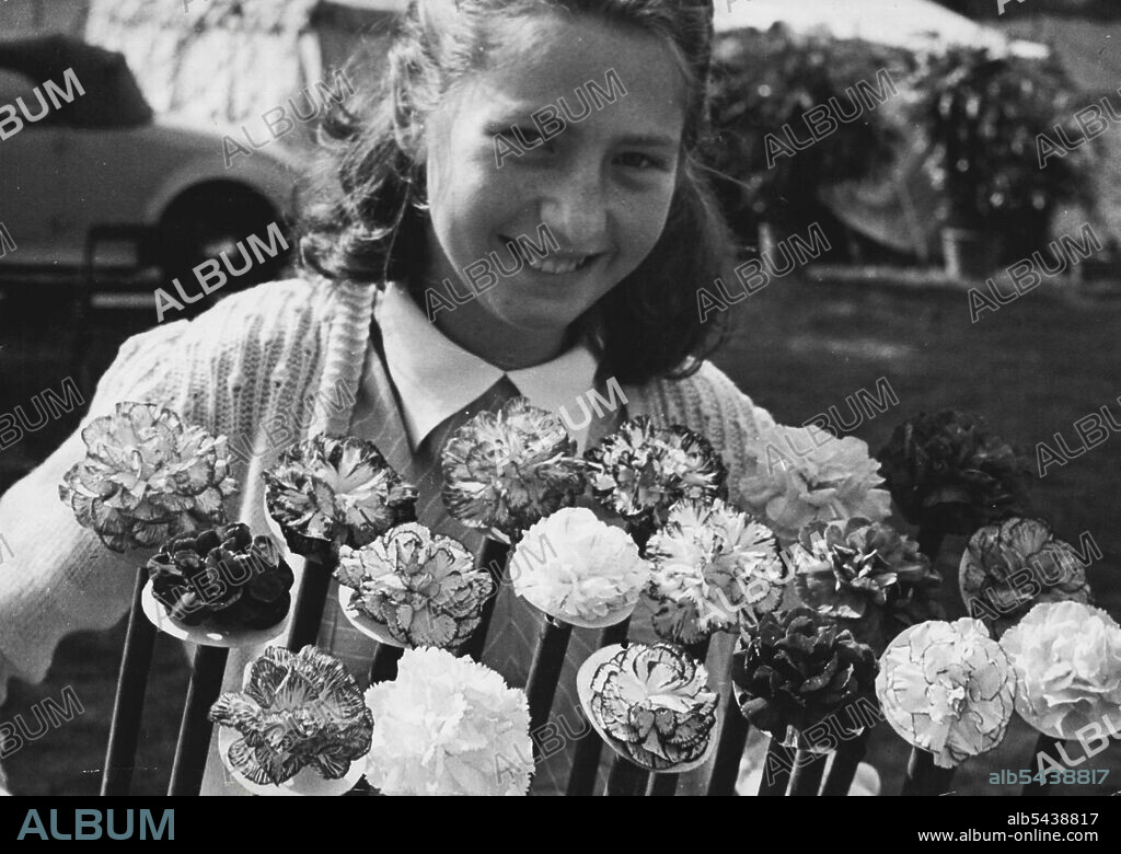 Joan Parry with a tray of carnations at the chelsea flower show. The blooms were crown *****. June 02, 1947.