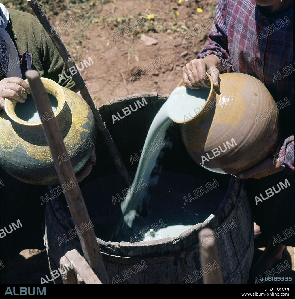 PREPARANDO AZUFRE PARA AZUFRAR UNA VIÑA - FOTO AÑOS 60.