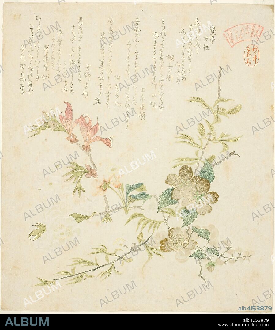 Various Spring Flowers, from the series "Springtime Plants and Trees for the Kasumi Poetry Circle of the Yomo Group (Yomogawa Kasumi-ren haru no kusaki no uchi)". Kubo Shunman; Japanese, 1757-1820. Date: 1815-1825. Dimensions: 21.1 x 18.6 cm. Color woodblock print; shikishiban sheet from an album, surimono. Origin: Japan.