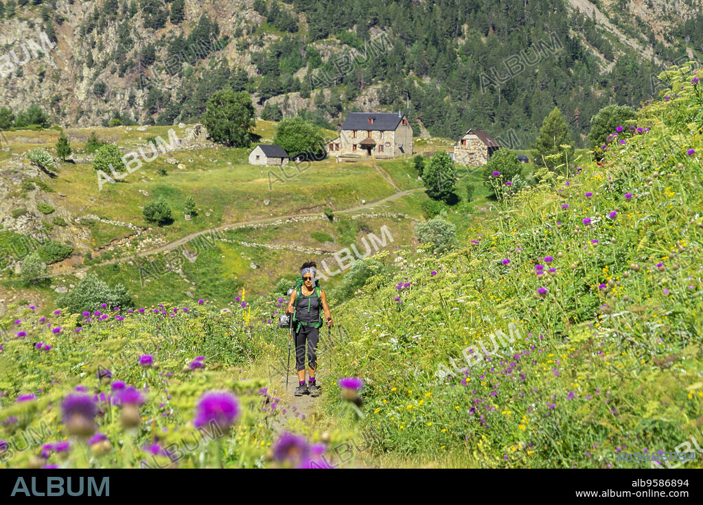 granjas de biadós, Valle de Añes Cruces, parque natural Posets-Maladeta, Huesca, cordillera de los Pirineos, Spain.