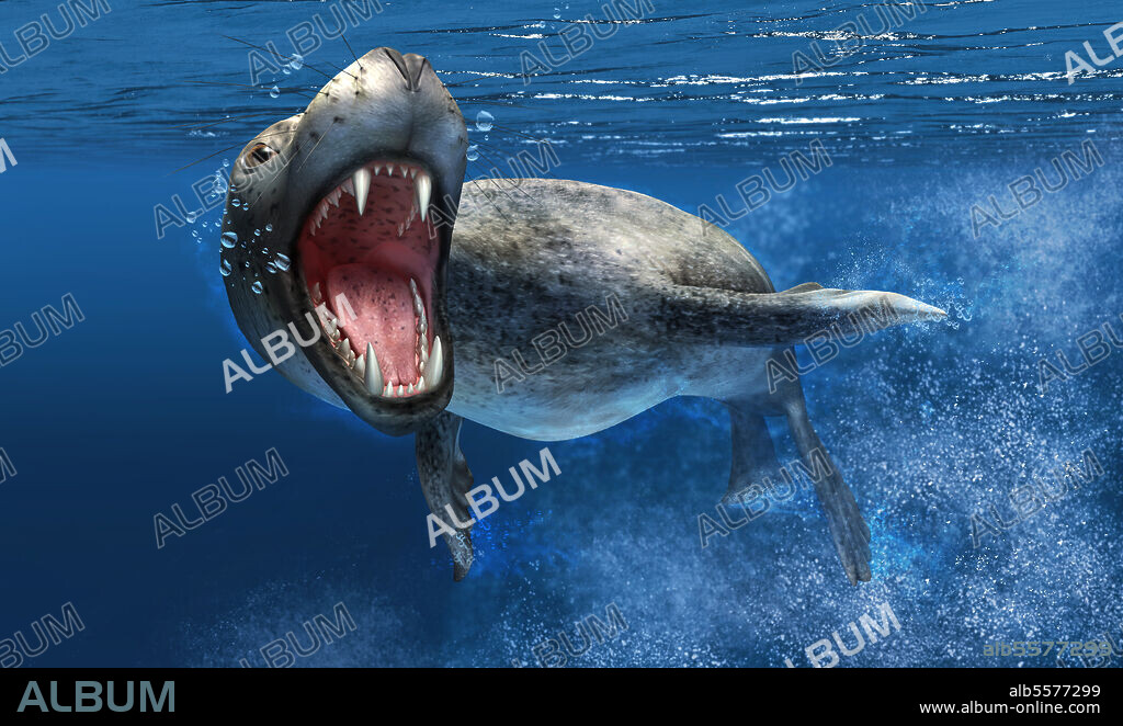 Leopard seal swimming underwater with mouth open showing its sharp teeth.