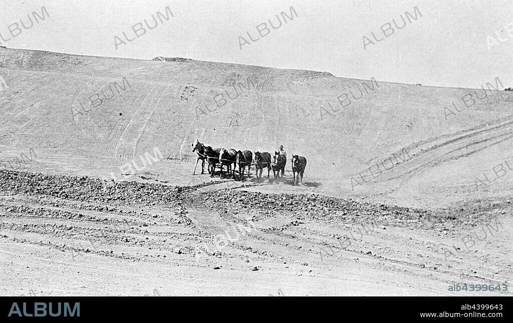 Negative - Excavating a Dam With a Horse Drawn Scoop on 'Portland Downs' Station, Isisford District, Queensland, 1923, Excavating a dam with a horse-drawn scoop on 'Portland Downs' station.