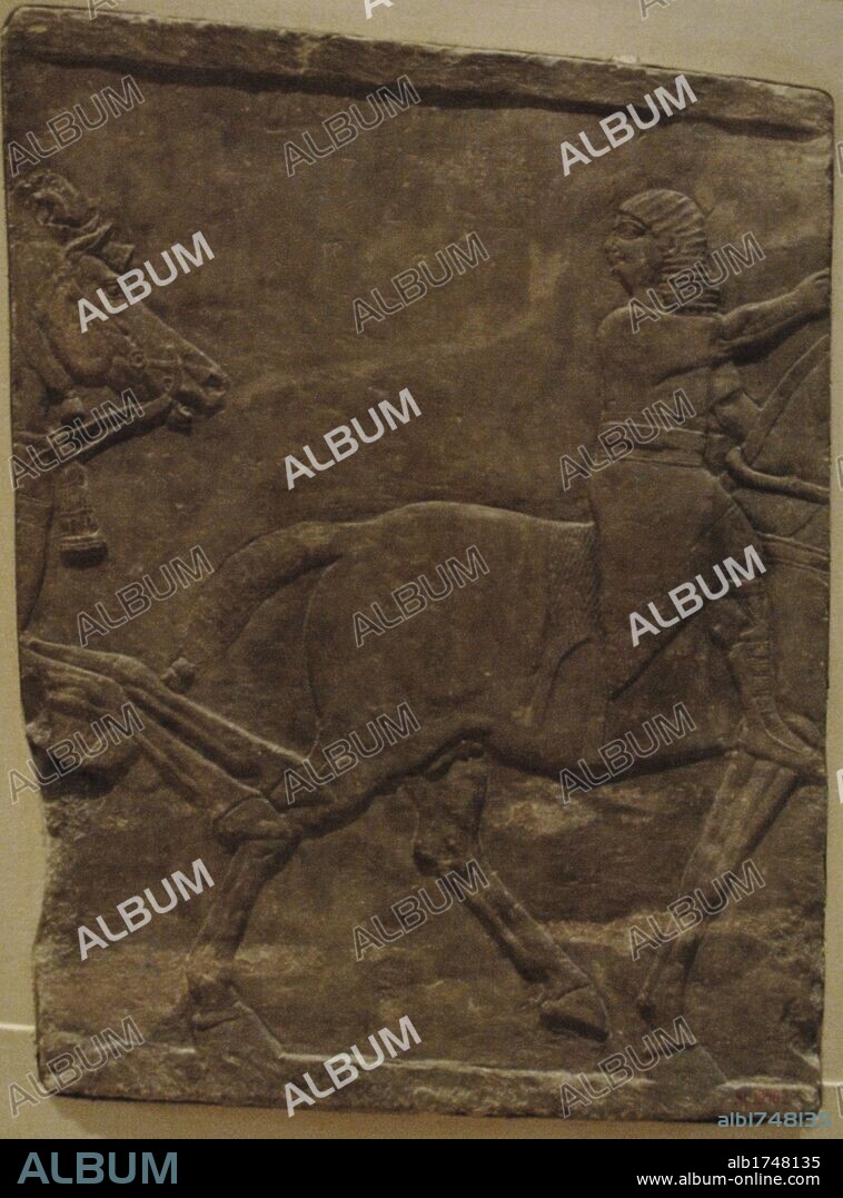ARTE MESOPOTAMICO. ASIRIO. CABALLERO (hacia 645 a. C.). PALACIO DE ASSURBANIPAL (669-626 A. C.). RAMPA DE ACCESO. Nínive. Arte neo-asirio. Museo del Louvre. París. Francia.