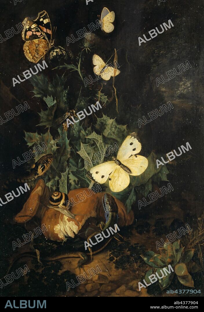 Still life with butterflies, lizard and snake, oil on oakwood, 29.5 x 21 cm, monogrammed on the right edge of the picture below the center of the picture with red color: C [slightly readable] W V H., Carl Wilhelm de Hamilton, Brüssel oder Wien 1668 oder 1670–1754 Augsburg.