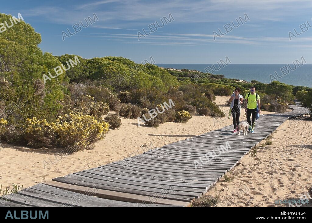 Natural Monument Cliffs of the Asperillo-Cuesta Maneli, Almonte, Huelva province, Region of Andalusia, Spain, Europe.