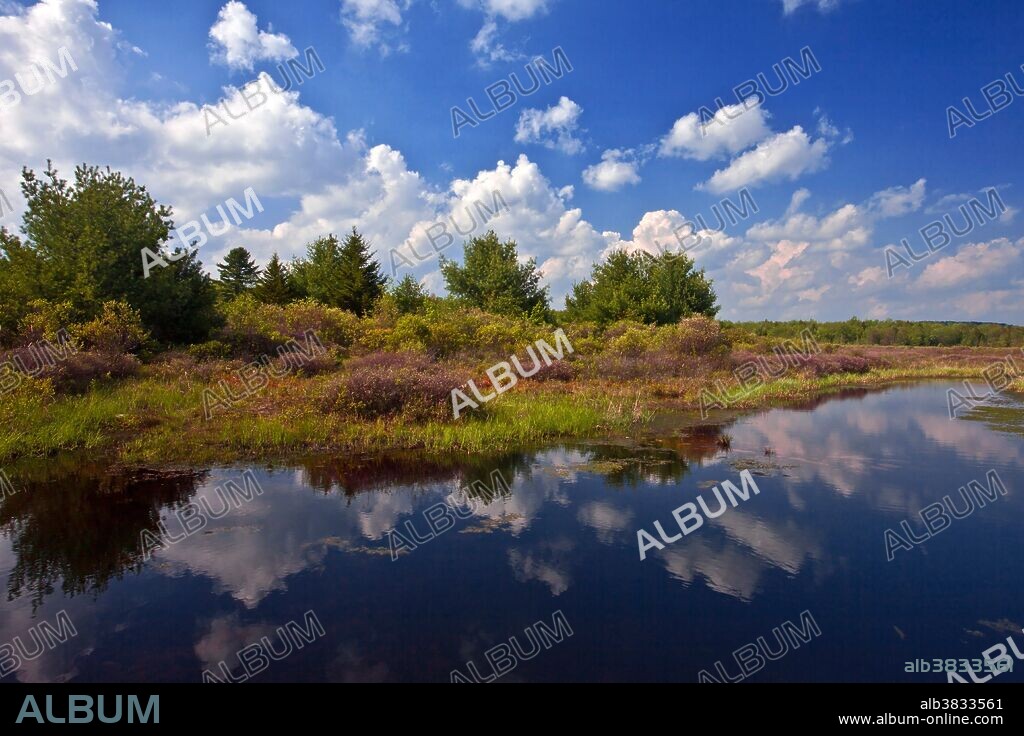 The Nature Conservancy's 2,500-acre Thomas Darling Preserve at Two-Mile Run in Pennsylvania's Pocono Mountains is an extensive mosaic of glacial wetland.