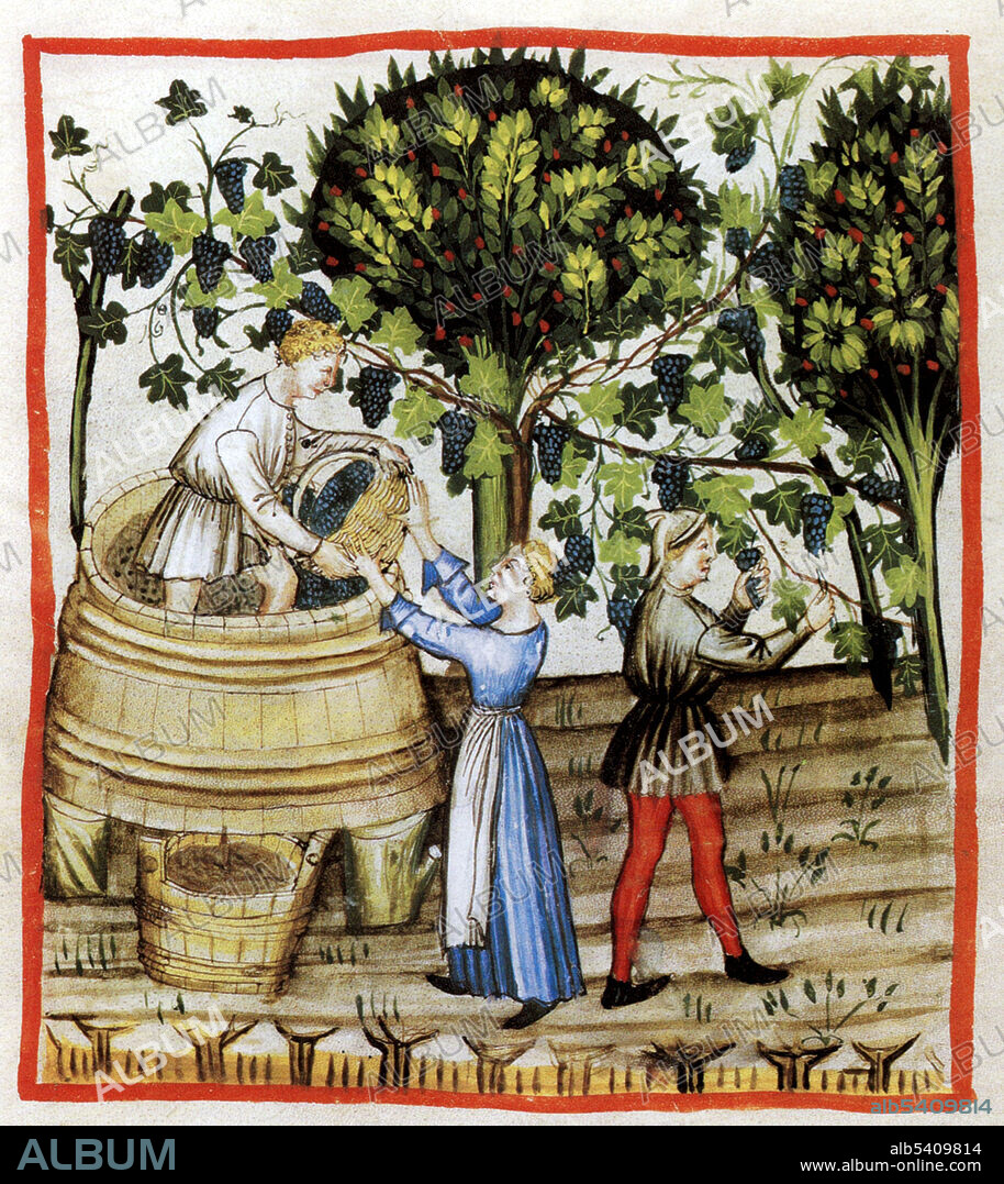 ""Tacuinum Sanitatis"", Winemaking