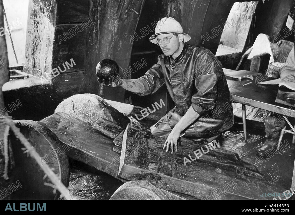 Stockholm 1961-06-09. Bärgning av regalskeppet Vasa. Arkeologen Thomas Heneman visar upp en av de kanonkulor man funnit på undre batterdäck. Han är omgiven av de kanonportar som låg bara en och en halv meter över vattenytan.. Foto: Stig A Nilsson / DN / TT / Kod: 43. ** SvD OUT **.