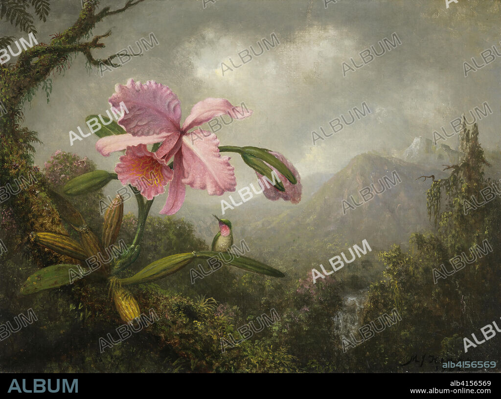 Martin Johnson Heade (Lumberville, 1819-Saint Augustine, 1904). Orquídea y colibrí cerca de una cascada (1902). Óleo sobre lienzo. 38,2 x 51,5 cm.