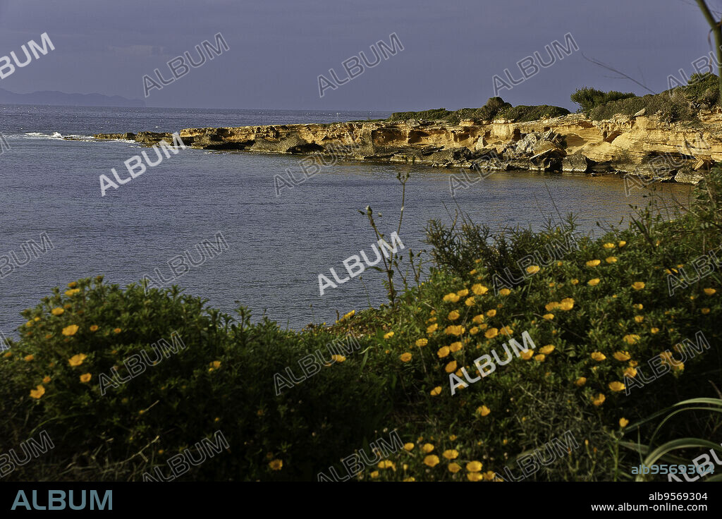 Cala de Ca los Camps.Litoral de la Colonia de Sant Pere. Bahia de Alcudia. Península de Llevant.Arta.Mallorca.Islas Baleares. España.