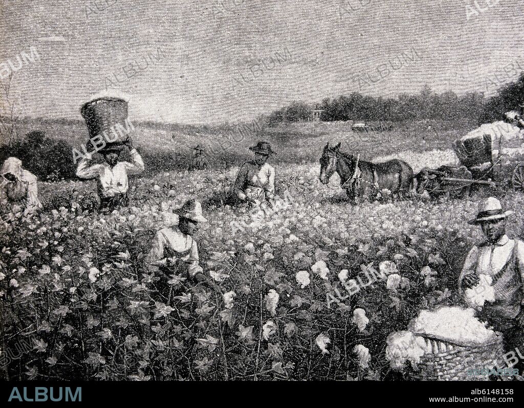AUTOR LIBRE 01307. PLANTAC ALGODON-PEONES NEGROS ,BASE ECONOMIA DEL SUR NORTEAMERICANO.