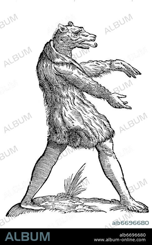 Cynocephali effiges, schreitender Mann mit Wolfskopf, herausgestreckter langer Zunge, zupackenden Armen und zotteliger Felljacke , Aldrovandi, Historia Monstrorum 1642, 17 Jh, Renaissance.