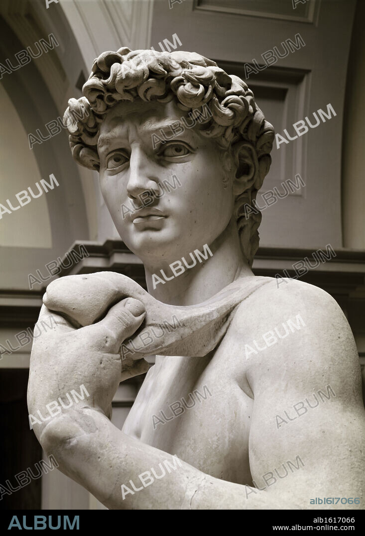 David  Michelangelo Buonarroti (1475-1564 Italian).