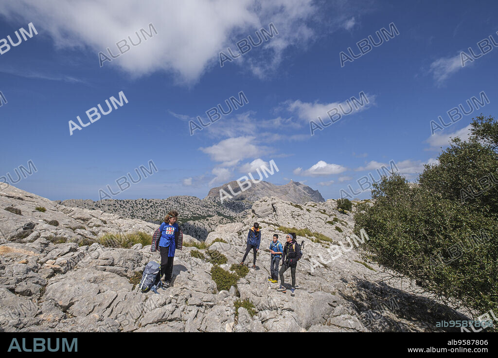 ascending to the peak Na Franquesa, 1067 mts, Three Thousand Route, (Tres Mils), Fornalutx, Majorca, Balearic Islands, Spain.