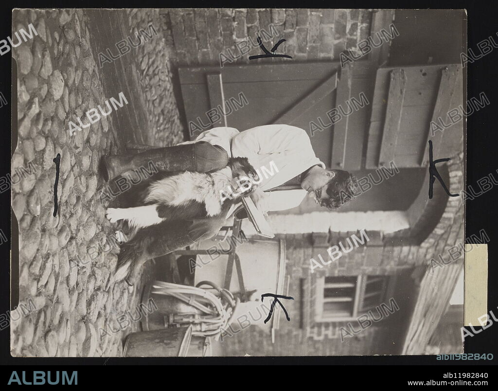 Reckoning milk yield. - Mr. H.S. Whittaker, owner of Wardle Bridge Farm, reckoning up the days yield of milk, whilst Jimmy who helps in the marshalling of the cows, sits on guard. (7 December 1939?). Photographer-Tomlin.