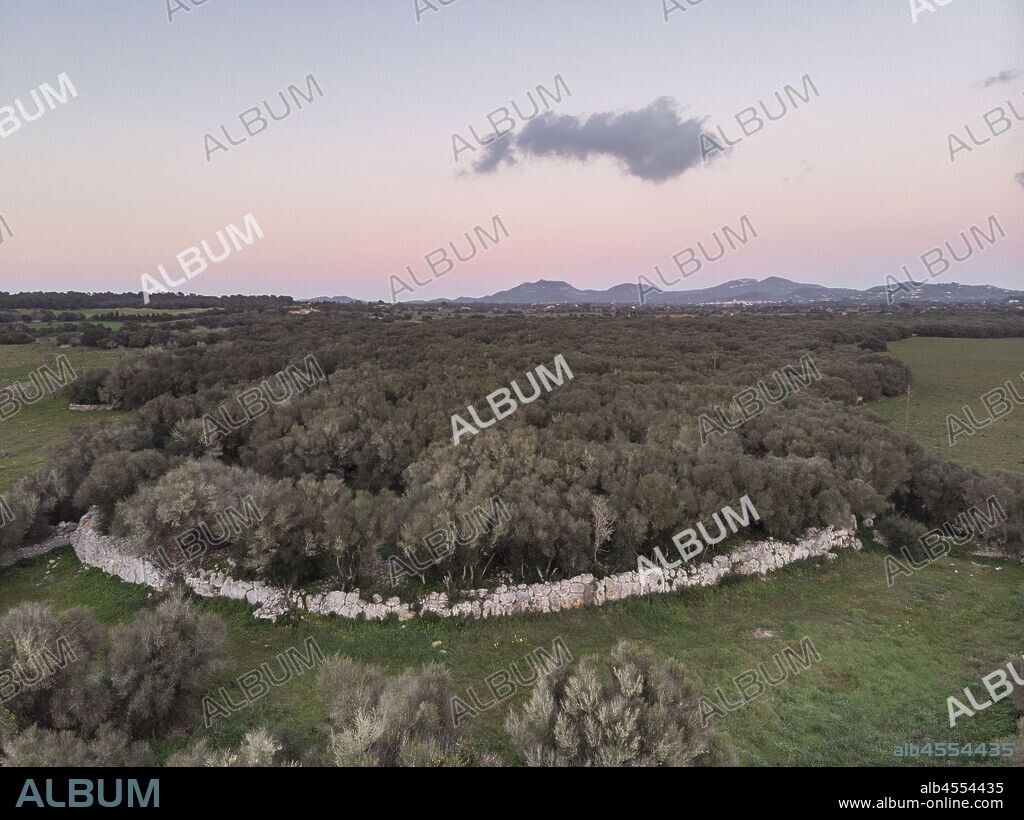 muralla talayotica, yacimiento de es Rossells, Cas Concos , municipio de Felanitx, Mallorca, balearic islands, Spain.