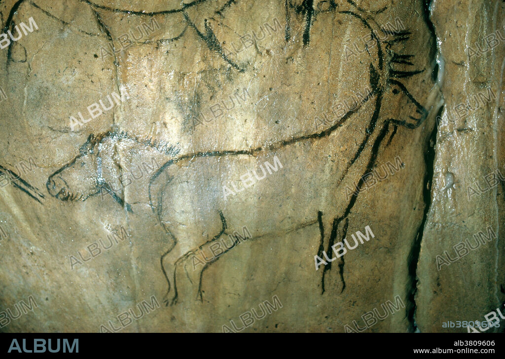 Paleolithic Cave Painting, Niaux, France